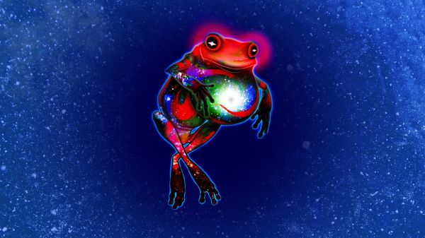 ART, fi, humor, 1920x1080 px, animal, frog