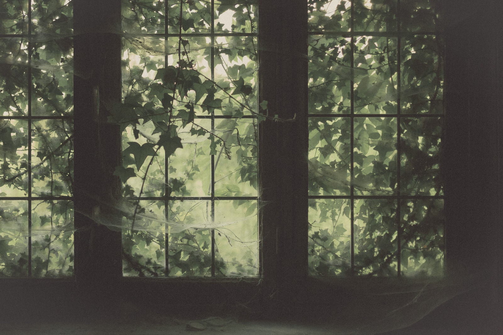 starý, Okna, opuštěný, brýle, Europa, Evropa, rozklad, zkoumání, pavoučí síť, urban exploration, vila, panské sídlo, maison, opuštěný, vykotlaný, urbex, f nster, abandonedplaces, glasogon, spindelv v, de, widesceen, vergivet, vergivnaplatser, annalarsson, girlbex