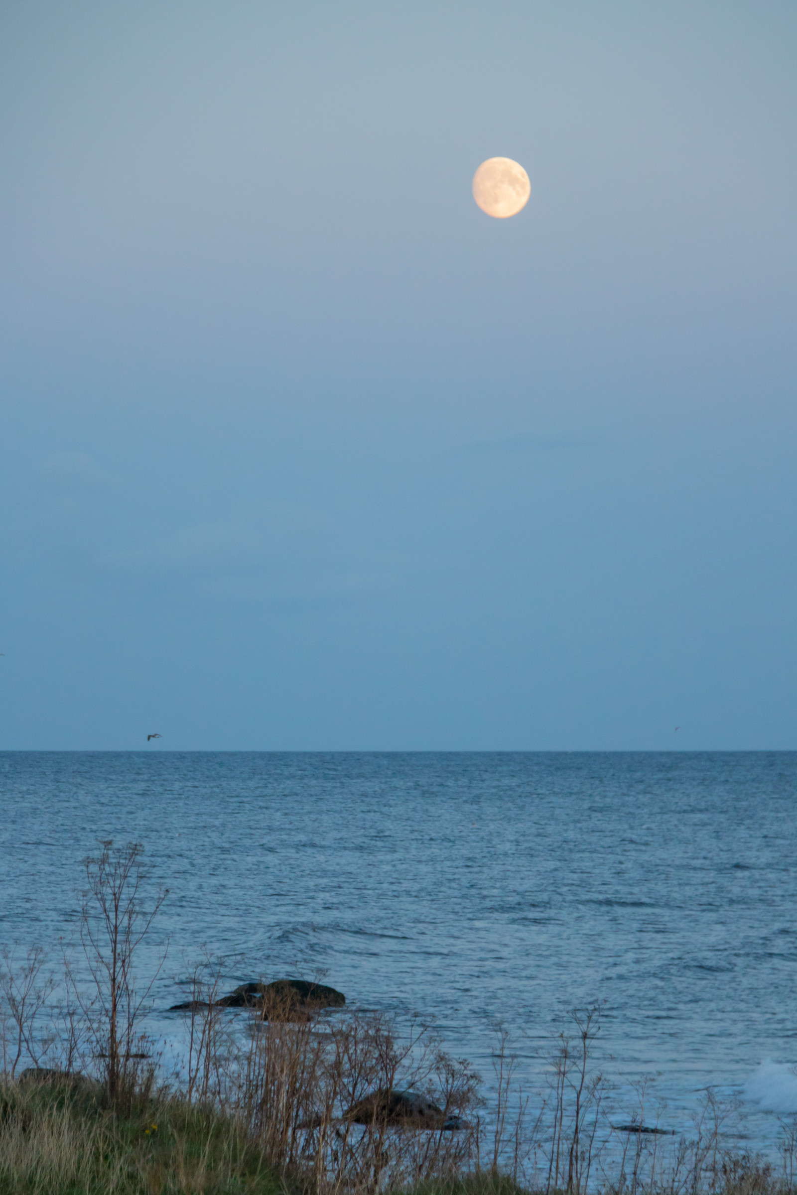 slunečnímu záření, západ slunce, moře, pobřeží, nebe, pláž, svítání, Měsíc, ráno, pobřeží, slunce, horizont, soumrak, mrak, svítání, oceán, vlna, solnedg ng, hav, smygehuk, m ne, kust, exif modelu canoneos760d, geocountry, Kamera aby kánon, geocity, Model fotoaparátu canoneos760d, geostate, geolocation, EXIF čočka efs18200mmf3556is, EXIF otvor 56, exif aby kánon, exif focallength 110mm, exif isospeed 1000, atmosférický jev, Atmosféra Země, astronomický objekt, tělo z vody
