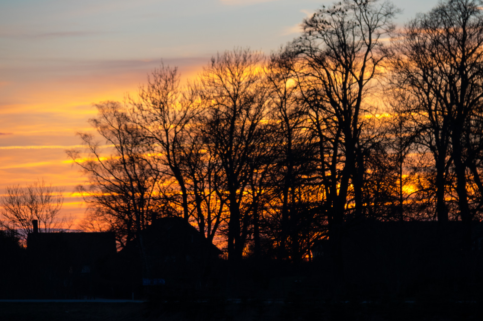 luce del sole, paesaggio, tramonto, natura, riflessione, cielo, silhouette, ramo, Alba, sera, mattina, Sole, crepuscolo, nube, albero, autunno, alba, himmel, solnedg ng, Siluett, campagna, moln, landsbygd, Landskap, fenomeno atmosferico, ultimi bagliori, cielo rosso al mattino