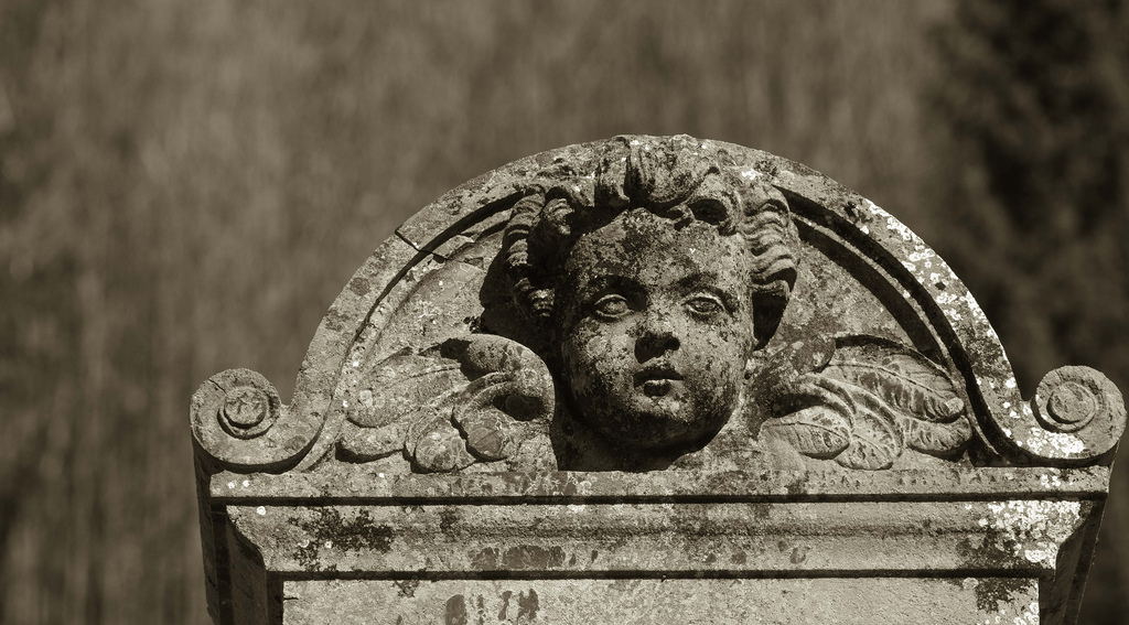 ange, anděl, angelot, pěna, mech, náboženství, sixt, sixtlefer cheval, douceur, enfant, dítě, Horní Savojsko, Francie, jemnost, littleangel, cherubín, sépie