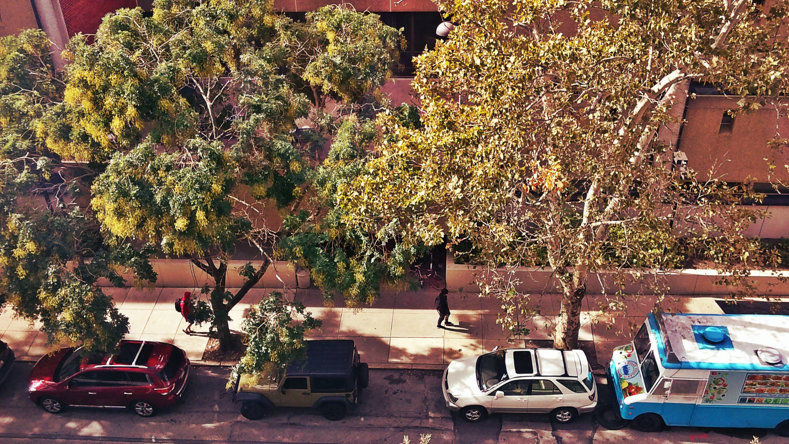 slunečnímu záření, krajina, barvitý, podzim, město, Příroda, auto, milovat, Červené, stín, vozidlo, fotografování, makro, uklidnit, zelená, žlutý, oranžový, textura, čas, život, říjen, šťastný, jasný, olistění, Philadelphie, mír, Přátelé, odstíny, rodina, Pennsylvania, pátek, oblíbený, UMĚNÍ, světlo, Krásná, strom, podzim, brzy, cestovat, list, barvy, flickr, umělecký, počasí, rostlina, venkovní, divoký, krása, sezóna, usměj se, pozdě, dovolená, větve, užívat si, víkend, návštěva, životní styl, dnes, žít, cesta, během dne, vášeň, síla, dýchat, obrázek dne, zítra, makrofotografie, dřevina, motorové vozidlo, šťastný den, žádný filtr, včera, milující, TimeOfDay, sonycamera, Perfectweather, Miluj svůj život