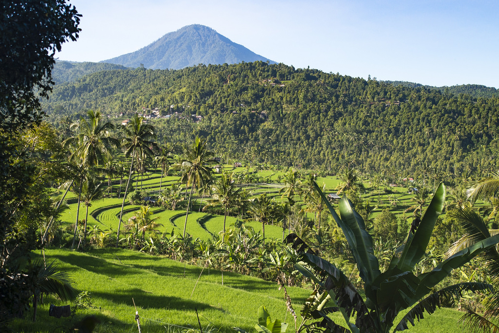 แนวนอน, ป่า, เอเชีย, เนินเขา, ธรรมชาติ, ฟิลด์, สีเขียว, หุบเขา, ถิ่นทุรกันดาร, ป่า, 2015, บาหลี, ป่าฝน, อินโดนีเซีย, ที่ราบสูง, การจ่ายเงิน, ต้นไม้, ภูเขา, ดอกไม้, พืช, พืชพันธุ์, เกษตรกรรม, การเพาะปลูก, asie, olympusomdem5, Indon Sie, เขตชนบท, พฤกษศาสตร์, ลักษณะภูมิประเทศที่เป็นภูเขา, คุณลักษณะทางภูมิศาสตร์, geolis06, Munduk, mundukricefields, rizi resmunduk, olympusmed75300mmf4867ii, Baliricefield, rizierebali, riceoffieldbali, Balil Landscape, paysagebali, balinesepeasant