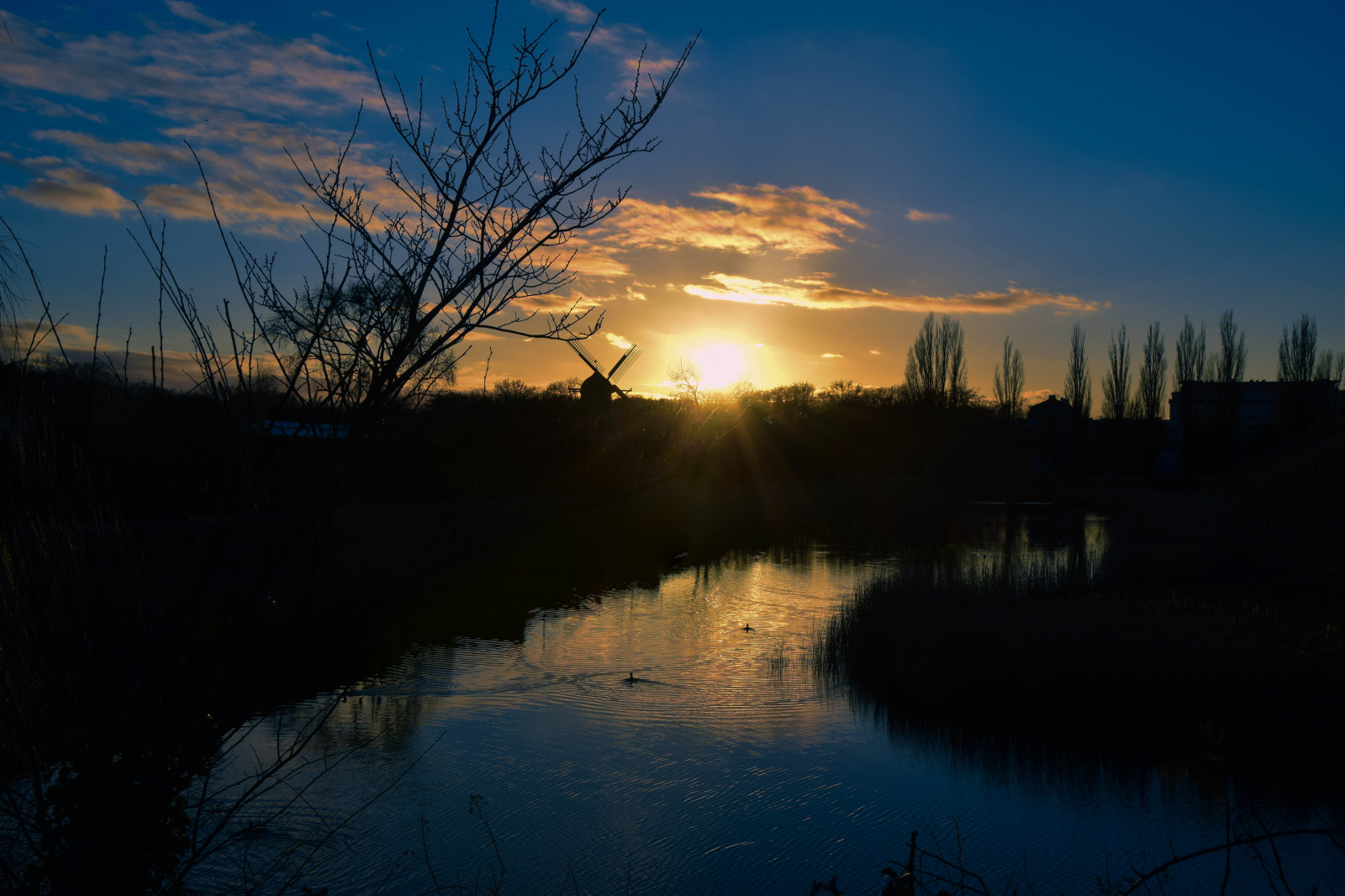 slunečnímu záření, západ slunce, jezero, Příroda, odraz, nebe, park, mraky, svítání, večer, ráno, řeka, slunce, Švédsko, soumrak, Sverige, mrak, strom, svítání, venkovní, cityview, sk nel n, se, Kungsparken, nebe, solnedg ng, euorpe, Malmo, Slottsparken, atmosférický jev, vodní