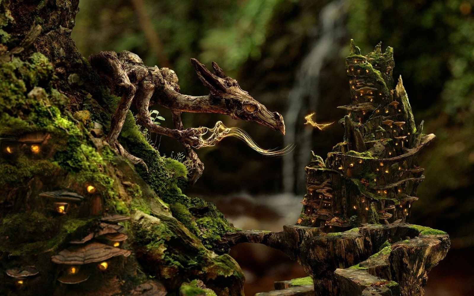 lys, Skov, øjne, natur, makro, afdeling, mos, grøn, dyreliv, sløret, trække på, ødemark, bokeh, jungle, regnskov, træ, efterår, blad, blomst, plante, flora, fauna, skov, levested, naturligt miljø, botanik, vedplante