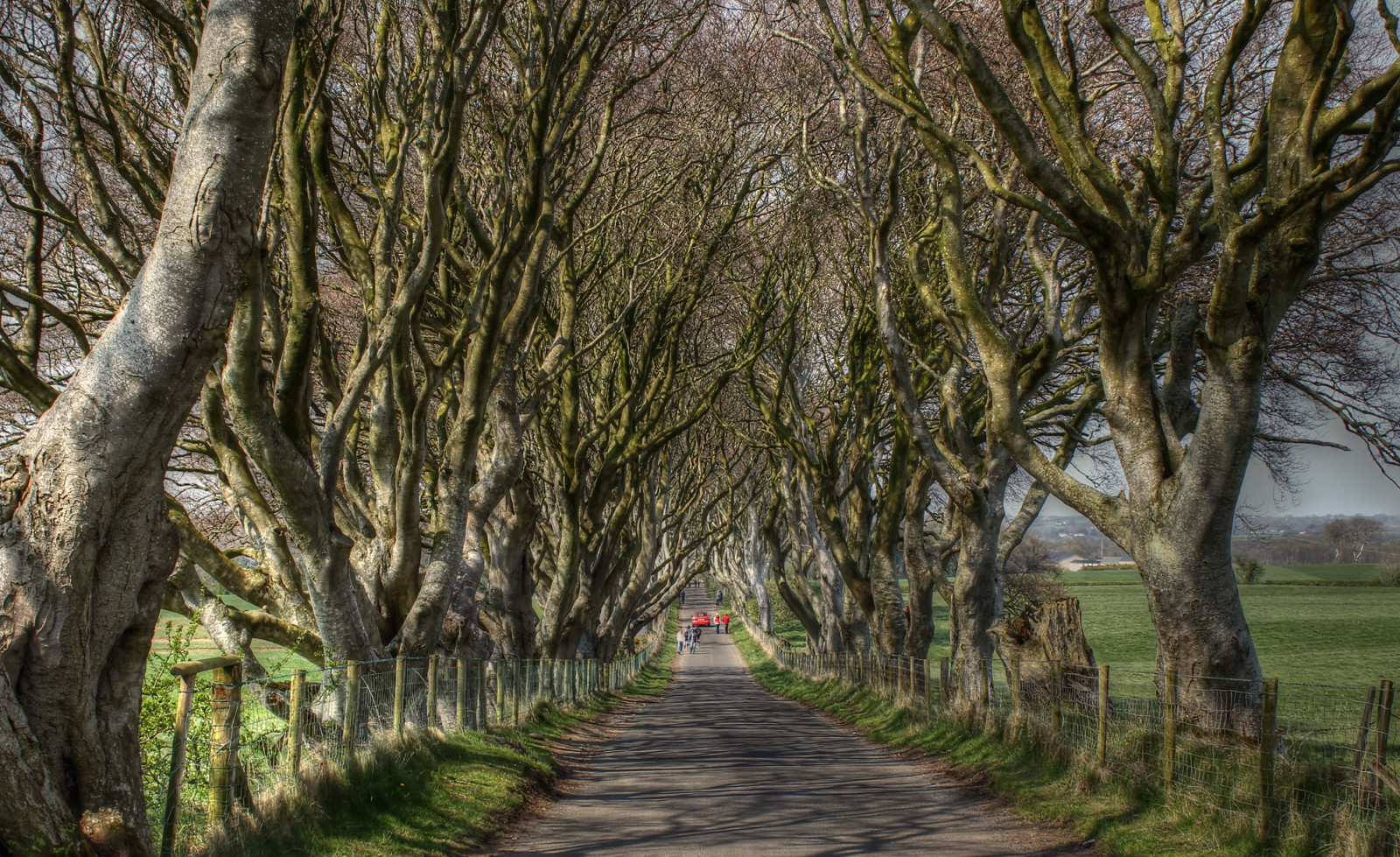 silnice, Spojené království, stromy, Irsko, světlo, stín, soubor, Kánon, temný, film, jaro, země, duben, Severní Irsko, mám, severní, HBO, Ulster, Ballymoney, živé ploty, Velikonoční pondělí, Armoy, peoplewalking, v zemi, hra o trůny, Stromy po celé cestě, Dýchací cesty, canon650d, Bregaghroad, glenncartmill