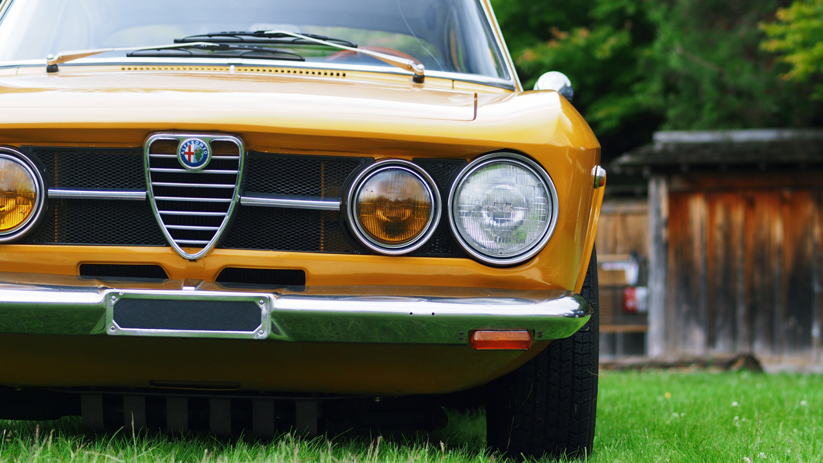 oranžový, Kanada, detail, auto, italština, před naším letopočtem, bokeh, Britská Kolumbie, světlomet, mřížka, North Vancouver, 169, Alfa Romeo, fragment, waterfrontpark, 2014, zd, 50mmmacro20, 50mmmacrof20, italianfrenchcarbikefestival, panasonicdmwma1, olympusem5