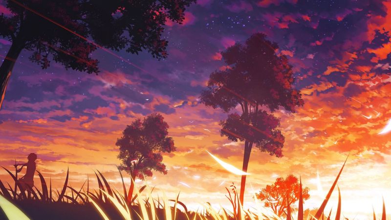 slunečnímu záření, západ slunce, anime, nebe, svítání, stromy slunečnímu záření, západ slunce, anime, nebe, svítání, stromy