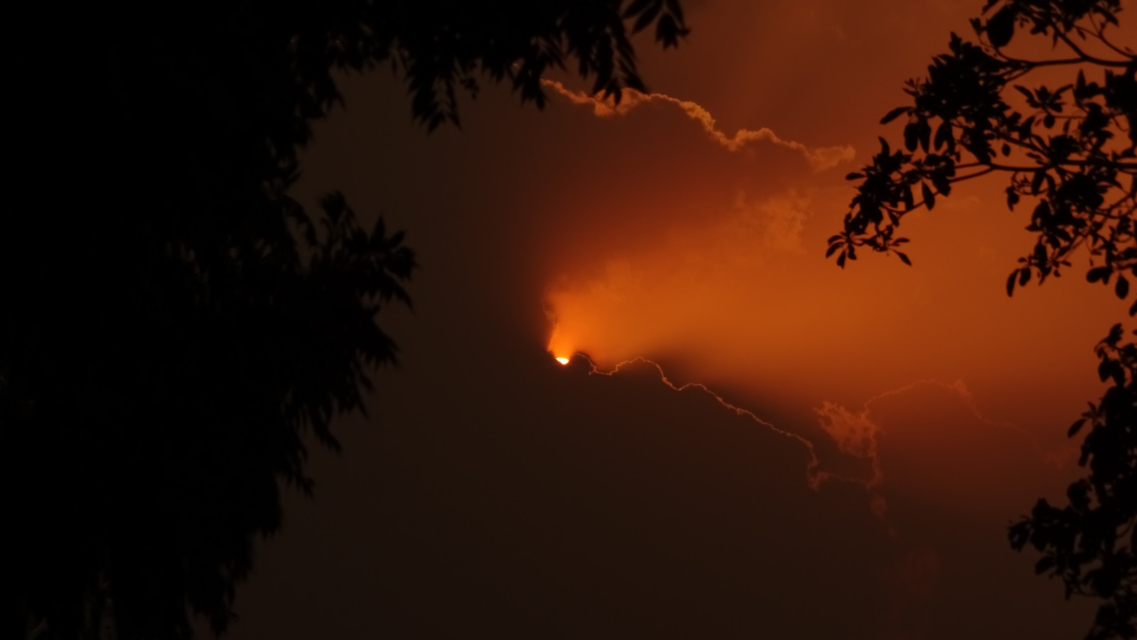 západ slunce, letní, nebe, oranžový, slunce, Indie, Černá, horký, strom, Příroda, Krásná, počasí, mraky, oheň, fotografování, Asie, flickr, barvy, zakalený, indický, Sony, příběh, paprsky, sluneční paprsky, větvičky, Chandigarh, naturephotography, Sonydschx400v, Ricktoor