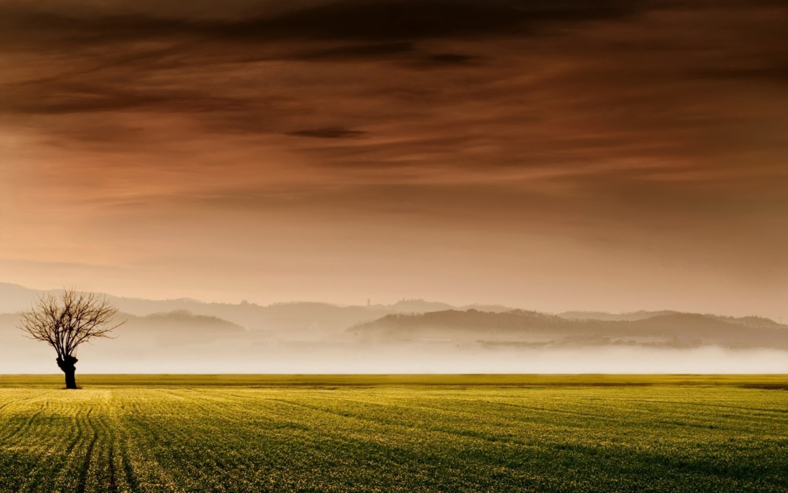 luce del sole, paesaggio, tramonto, collina, natura, erba, cielo, campo, Alba, sera, mattina, nebbia, Sole, orizzonte, atmosfera, crepuscolo, leggero, nube, albero, tempo metereologico, alba, prateria, pianura, 2560x1600 px, prateria, area rurale, fenomeno atmosferico, sfondo del computer, famiglia di erba