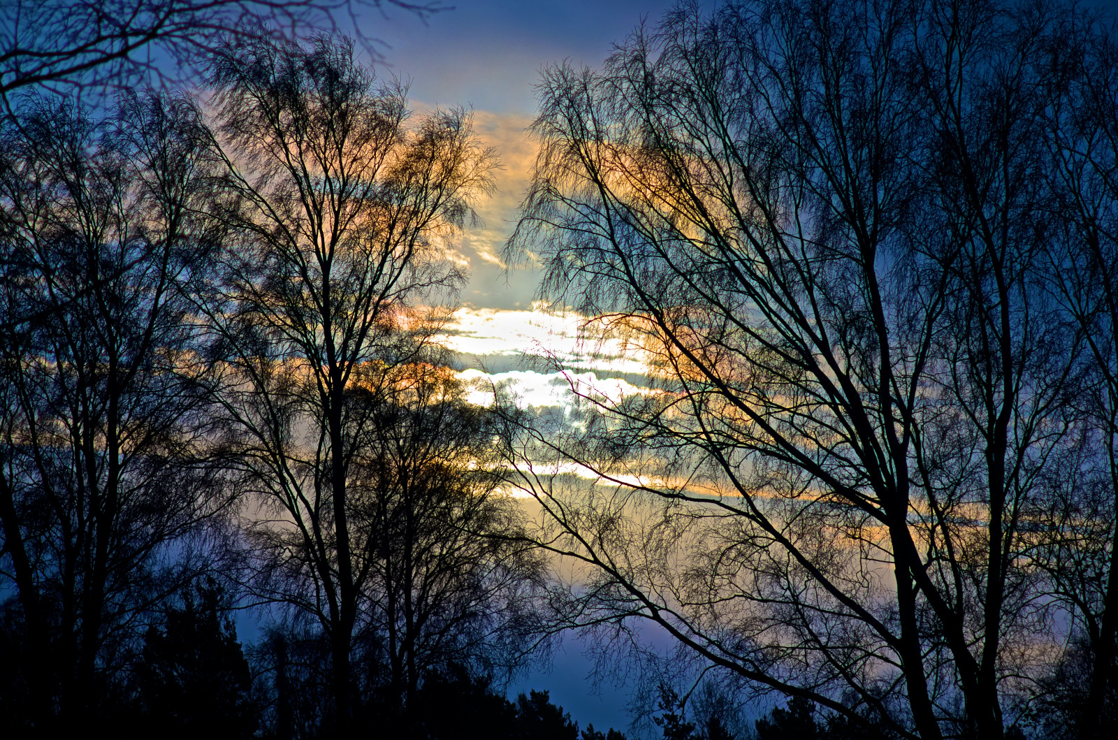 slunečnímu záření, stromy, krajina, les, západ slunce, Příroda, odraz, nebe, zima, mraky, větev, svítání, večer, ráno, mlha, mráz, slunce, atmosféra, soumrak, pentax, světlo, mrak, strom, podzim, list, svítání, rostlina, sezóna, ngc, pentaxart, atmosférický jev, dřevina