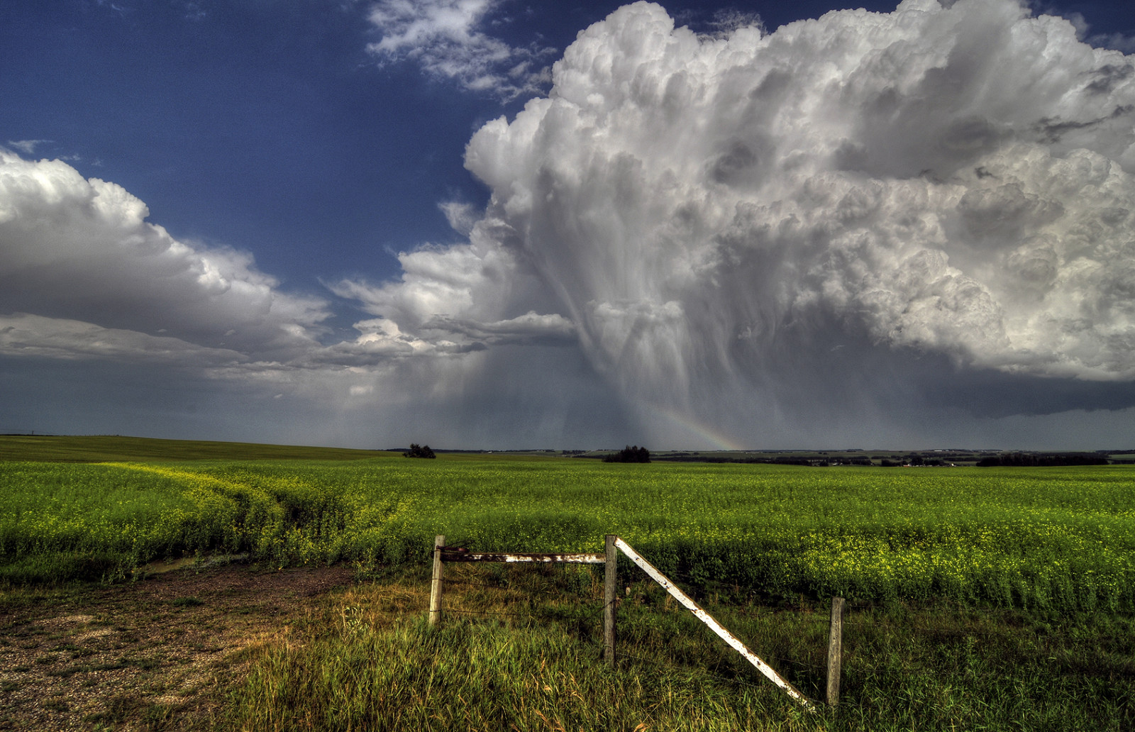 Fondos de pantalla : luz de sol, paisaje, naturaleza, césped, cielo