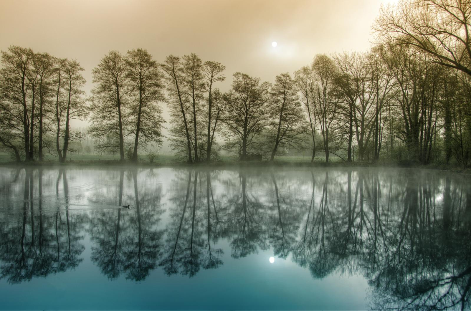 slunečnímu záření, stromy, krajina, les, jezero, voda, Příroda, odraz, zima, větev, večer, ráno, mlha, atmosféra, Nikon, opar, strom, mlha, svítání, rostlina, sezóna, mygearandme, D7000, mygearandmepremium, mygearandmebronze, mygearandmesilver, mygearandmegold, mygearandmeplatinum, mygearandmediamond, zálesí, místo výskytu, přírodní prostředí, atmosférický jev, dřevina