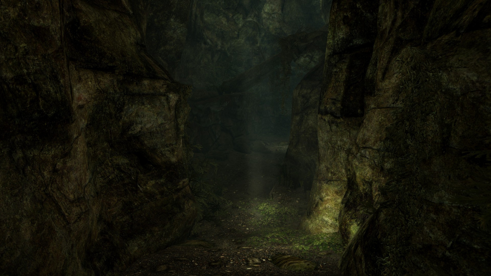แสงแดด, ป่า, วีดีโอเกมส์, ถ้ำ, Elder Scrolls V Skyrim, ป่า, ป่าฝน, การก่อตัว, ภูมิประเทศ, ความมืด, ภาพหน้าจอ, ป่าไม้, ถิ่นที่อยู่, สภาพแวดล้อมทางธรรมชาติ, วอลล์เปเปอร์คอมพิวเตอร์, คุณลักษณะทางภูมิศาสตร์, ป่าเจริญเติบโตเก่า