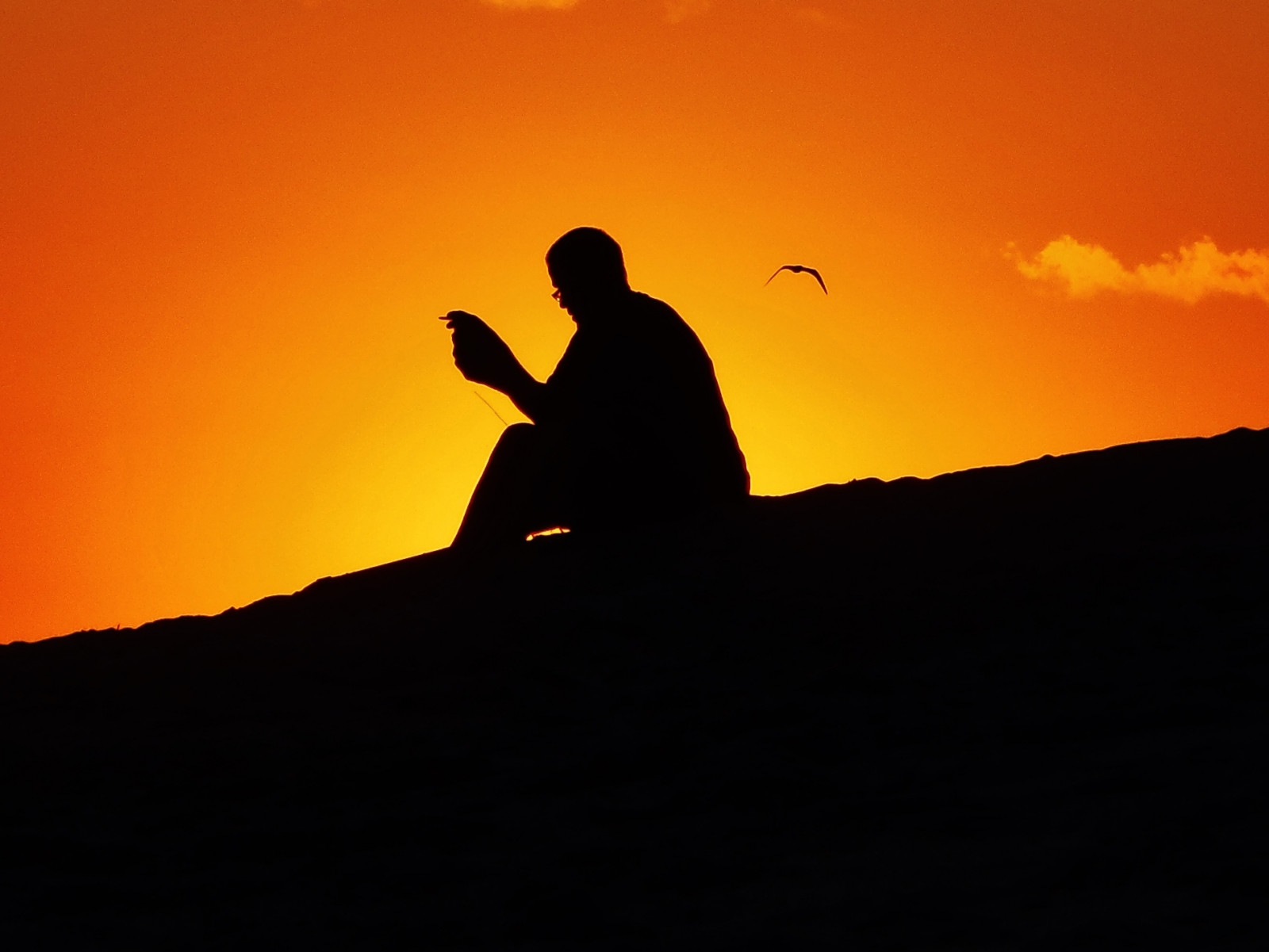 západ slunce, Spojené státy americké, Racků, přímořská krajina, pláž, silueta, nj, pobřeží, capemaypoint, capemay