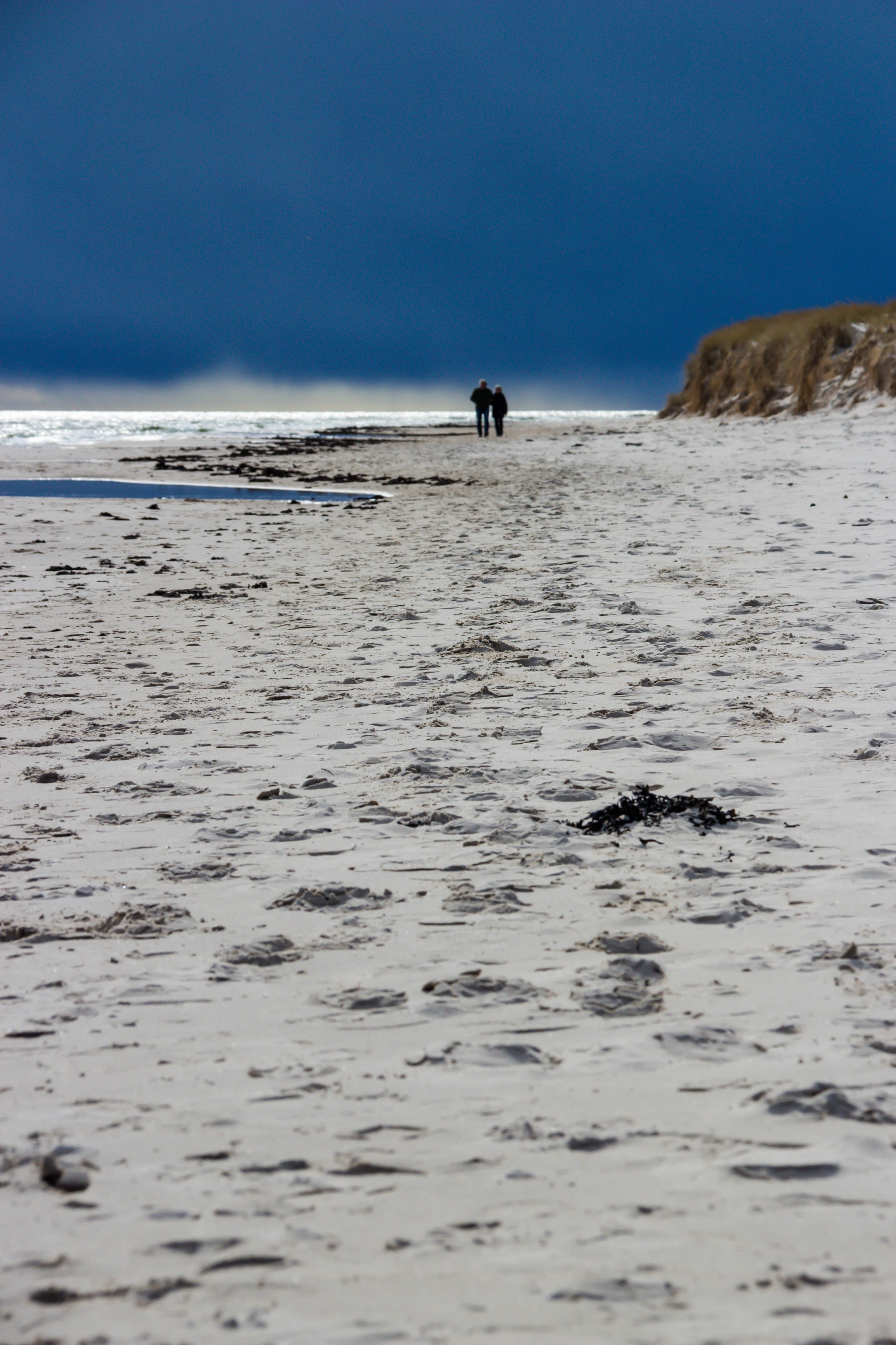 Wallpaper sea, bay, shore, sand, beach, coast, horizon, cape, surfing