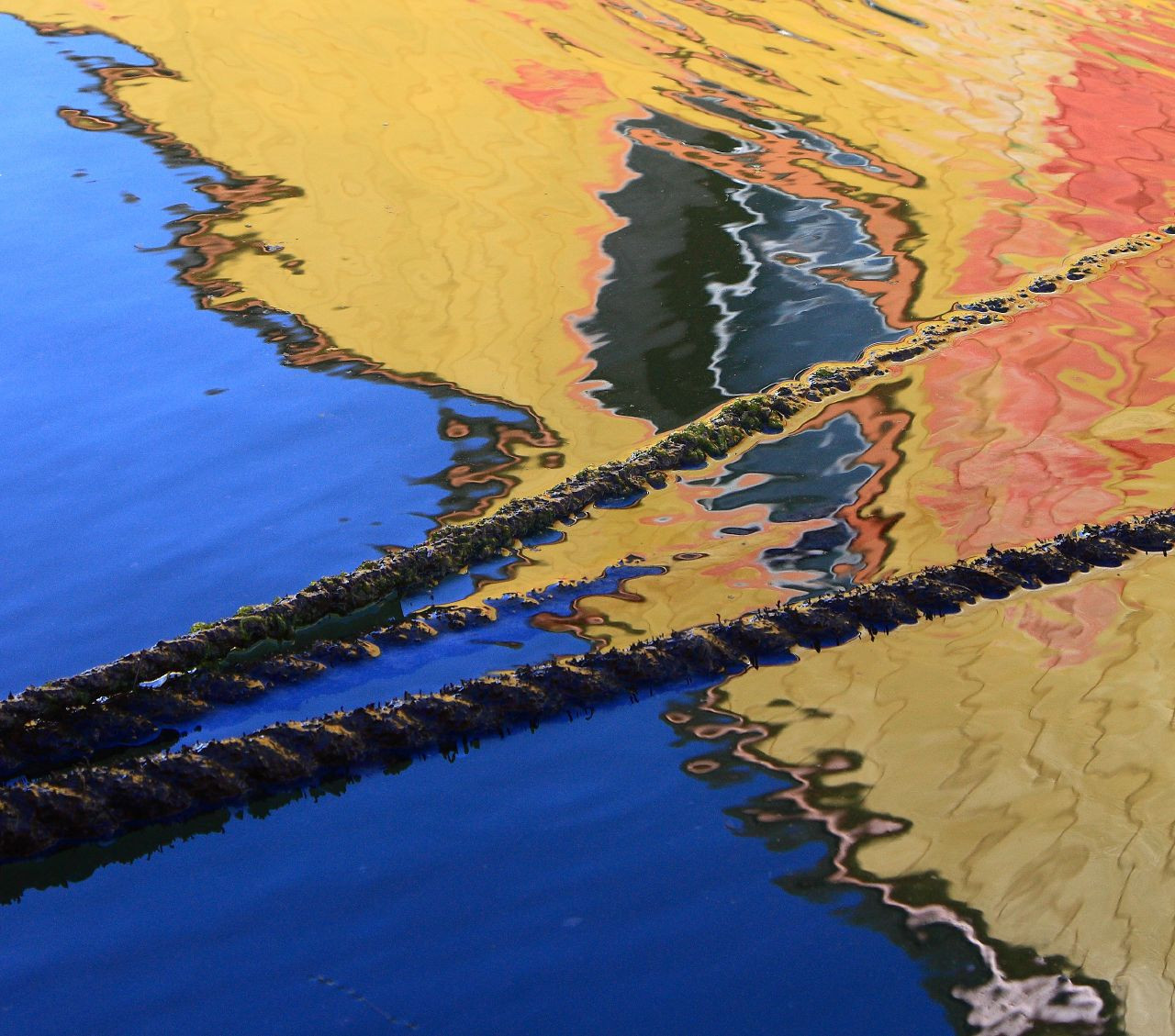 Kalifornie, odraz, obývací loď, lano, sanfranciscobayarea, Sausalito, canonef24105mmf4lisusm