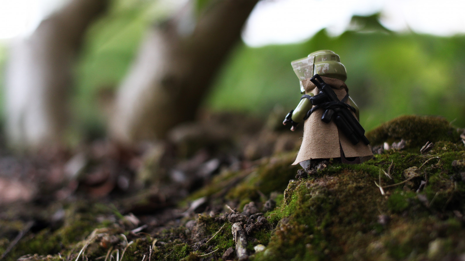 Kalifornie, osvětlení, makro, Cihlový, pole, tráva, Skála, Kánon, Kyle, objektiv, fotografování, rebel, hvězda, skály, zbraně, LEGO, fík, venkovní, jezírka, smět, 4., mini, špína, mamut, stormtrooper, války, lívanec, 40mm, Zvyk, větvičky, hloubka, F28, SL1, minifigure, 2016, brickarms, Hardisty