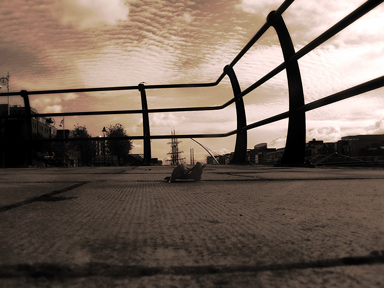 slunečnímu záření, podzim, bílý, Černá, město, voda, městský, odraz, nebe, stín, mraky, panoráma, modrý, večer, ráno, náměstí, město, dok, struktura, Porto, Blu, Europa, úhel, světlo, mrak, strom, Pohled, cielo, přístav, nebe, přístav, čára, pouzdro, centrum, citta, autunno, blau, evropský, weiss, blanche, pavimento, nuvole, irština, porto, Černý a bílý, Irlande, irsko, irland, Irlanda, ringhiera, dabovat, foglia, irlandia, dublino, Dubliner, Europeo, Metropolitano, Haffen, Vyhrát