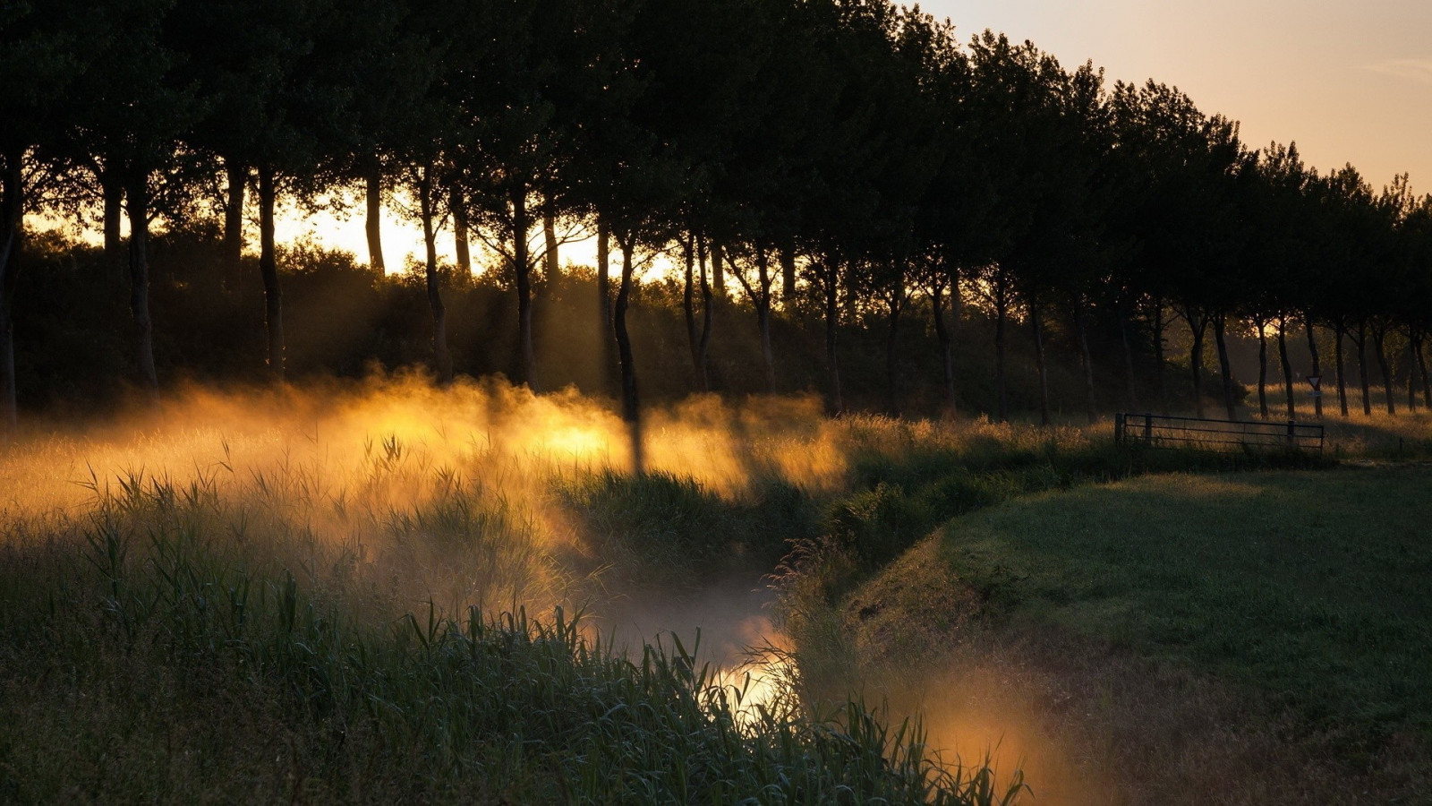 lumière du soleil, paysage, forêt, le coucher du soleil, nuit, la nature, réflexion, herbe, lever du soleil, soir, Matin, brouillard, rivière, Soleil, crépuscule, lumière, arbre, l'automne, Aube, obscurité, 1920x1080 px, habitat, Phénomène atmosphérique, Plante boisée