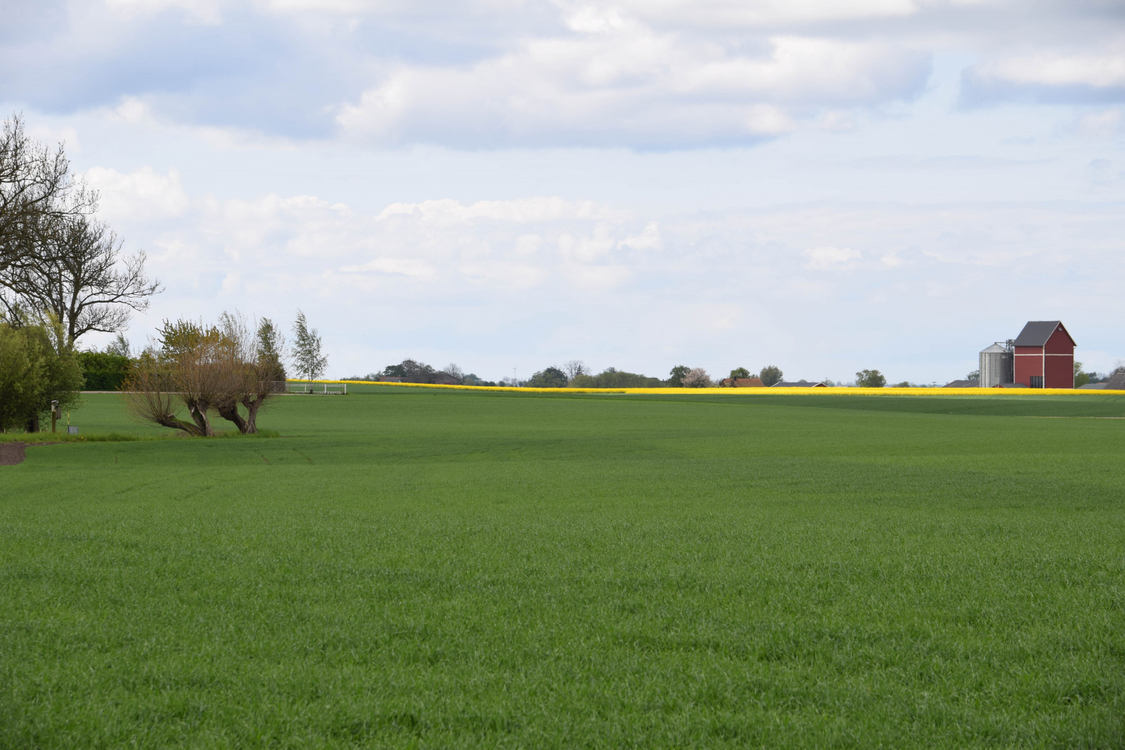 landskab, bakke, natur, græs, himmel, Mark, grøn, gul, gård, horisont, Sverige, struktur, Sverige, Sky, træ, græsarealer, plante, udendørs, sk nel n, SE, himmel, sk ne, landskabet, græs, landsbygd, voldtage, veje, brassicanapus, Rapseed, spannm l, landbrug, eng, almindeligt, græsplæne, prærie, landdistrikt, levested, græs familie, felt uafskallet