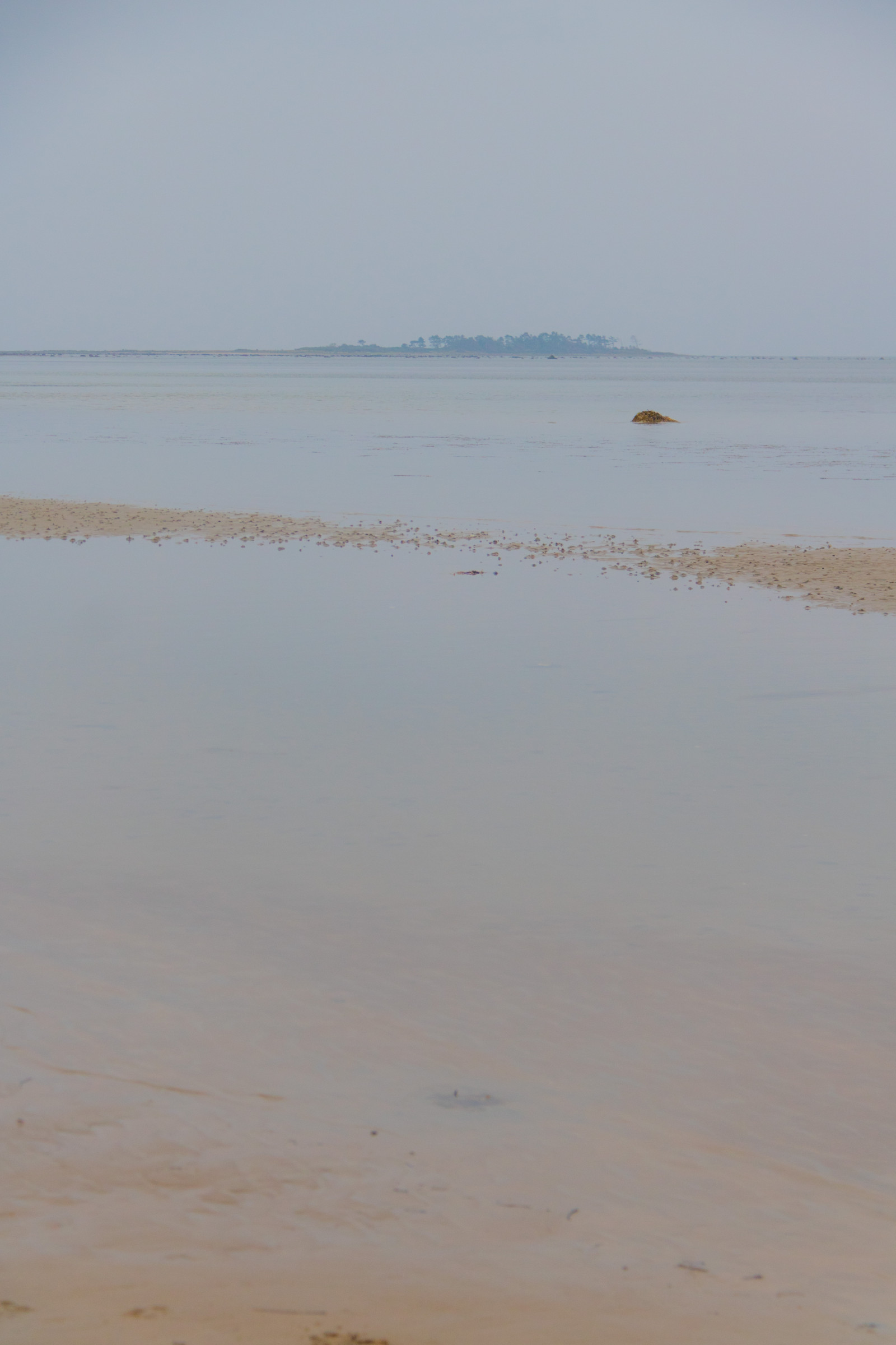 moře, záliv, jezero, voda, pobřeží, písek, odraz, pláž, ráno, pobřeží, horizont, kámen, Dánsko, mokřadní, svítání, oceán, vlna, pramen, vatten, hav, Danmark, kust, exif modelu canoneos760d, geocountry, Kamera aby kánon, geocity, Model fotoaparátu canoneos760d, geostate, geolocation, EXIF čočka efs18200mmf3556is, exif aby kánon, exif focallength 60mm, EXIF otvor 50, exif isospeed 400, sten, kulhuse, bažina, místo výskytu, přírodní prostředí, atmosférický jev, tělo z vody, mělčina při ústí řeky