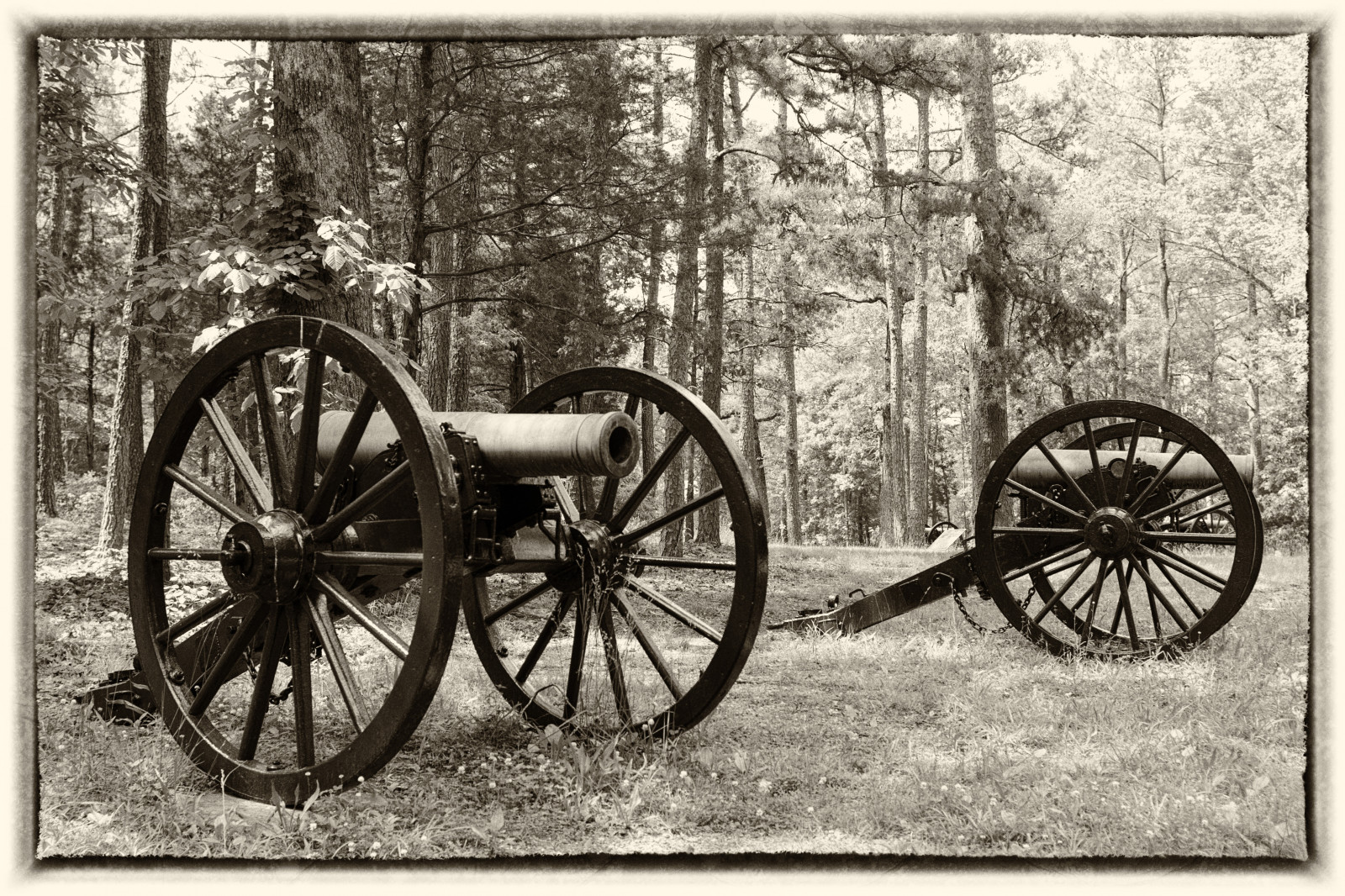 デスクトップ壁紙 パーク, 車両, 戦争, 歴史的な, 電池, 戦場, ジョージア州, キャリッジ, 大砲, 木, 全国, bw