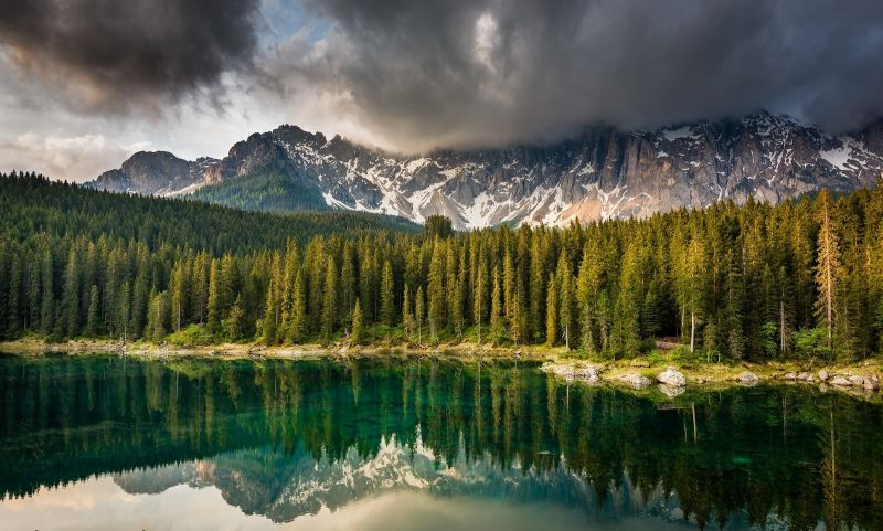 stromy, krajina, les, Itálie, jezero, voda stromy, krajina, les, Itálie, jezero, voda