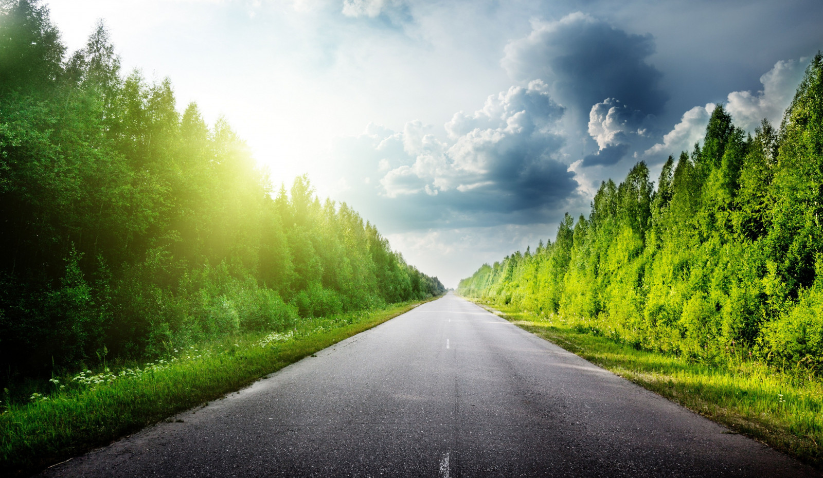 zonlicht, landschap, Bos, heuvel, natuur, gras, hemel, veld-, weg, groen, ochtend-, mist, infrastructuur, licht, wolk, boom, herfst, mist, blad, berg-, fabriek, weide, bos-, landelijk gebied, atmosferisch fenomeen, computer wallpaper, houtachtige planten, bergketen