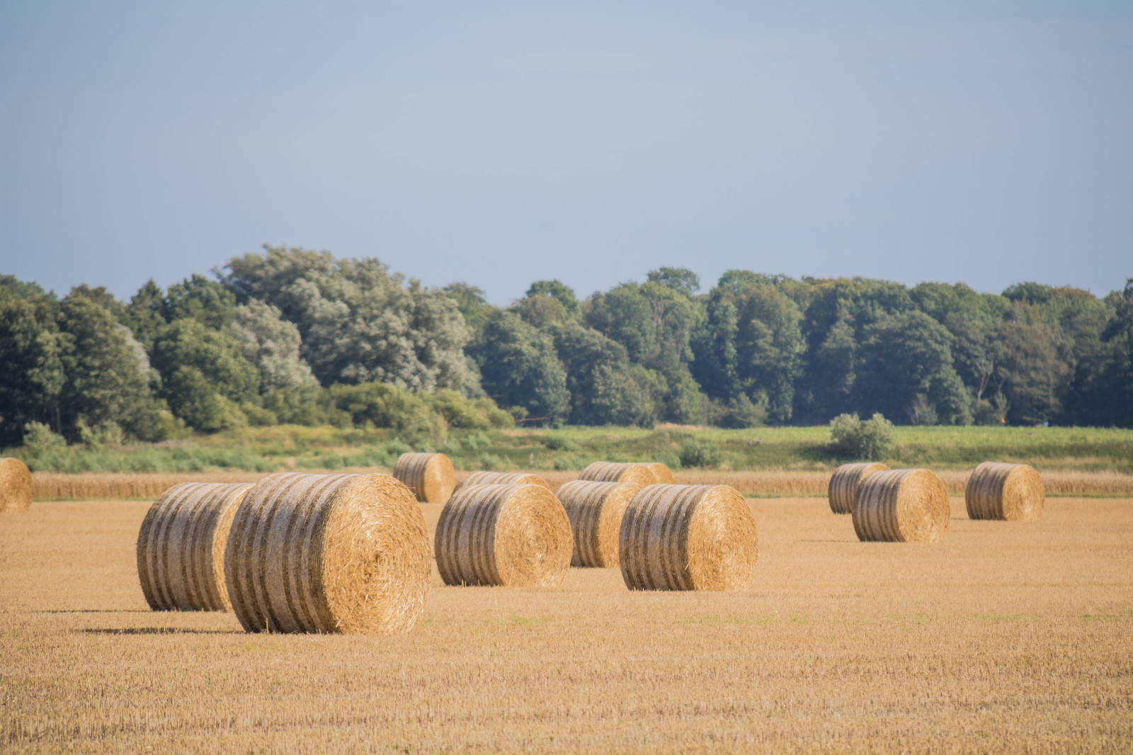 landskab, Mark, gård, strå, hø, landskab, græsarealer, plante, landskabet, græs, landsbygd, landskap, exif model canoneos760d, geocountry, kamera gør kanon, geocity, kameramodel canoneos760d, geostate, geolocation, exif linse efs18200mmf3556is, exif åbning 56, exif focallength 200mm, exif gøre kanon, exif isospeed 100, halm, landbrug, almindeligt, prærie, afgrøde, jord, landdistrikt, græs familie, menneskeskabte objekt