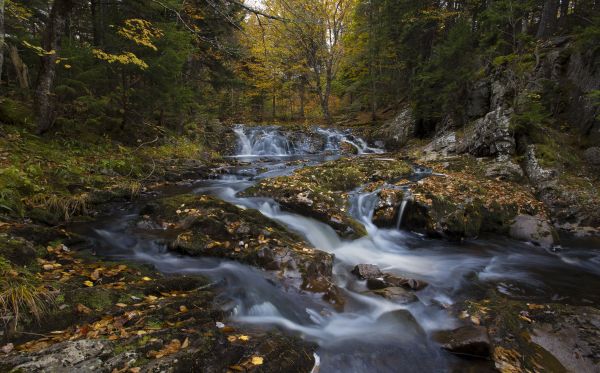 saint, john, photography, new, fall, water