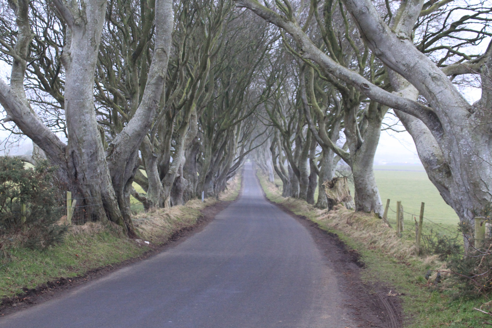 televize, televize, Severní Irsko, HBO, tvset, Hrabství Antrim, královská cesta, Georgerrmartin, Armoy, hra o trůny, Darkhouges, Dýchací cesty