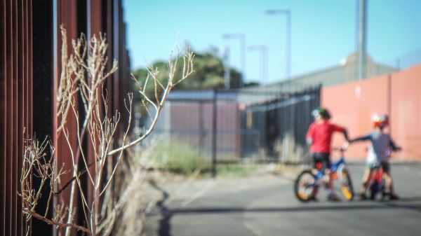 black,red,trees,bicycle,shadow,vehicle