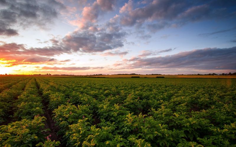 Sonnenlicht, Landschaft, Wald, Sonnenuntergang, Hügel, Natur Sonnenlicht, Landschaft, Wald, Sonnenuntergang, Hügel, Natur