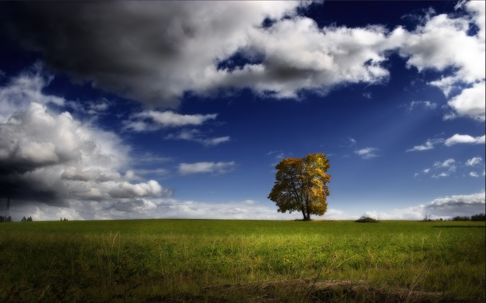 slnečnému žiareniu, stromy, krajina, kopec, príroda, tráva, neba, lúka, mraky, večerné, dopoludnia, vietor, horizont, atmosféra, súmrak, mrak, strom, svitania, lučina, lúka, prostý, prérie, vidiek, habitat, atmosférický jav, počítač tapeta, tráva rodina, meteorologický jav