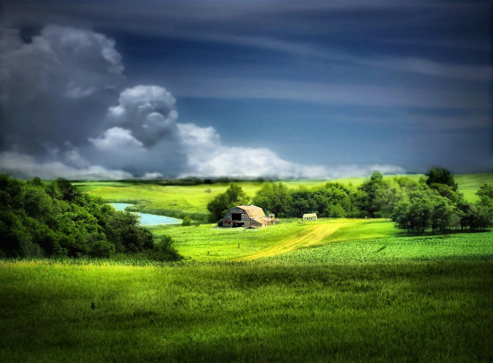 Bäume, Gras, Wolken, Scheune, Ländlichen, Bauernhof, Norddakota, Prärie, Ebenen