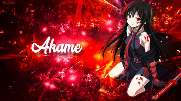 Akame,Akame ga Kill