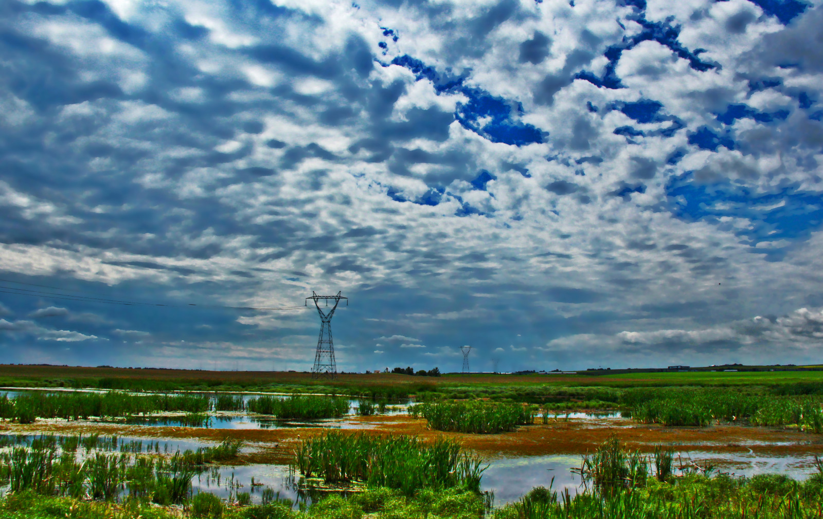 modrý, letní, nebe, zelená, Příroda, voda, pole, tráva, déšť, počasí, mraky, Kánon, odrazy, průmyslový, jezírka, atmosféra, powerlines, bazény, prérie, bujný, davidsmith, Powertowers, calgaryalbertacanada, eos60d
