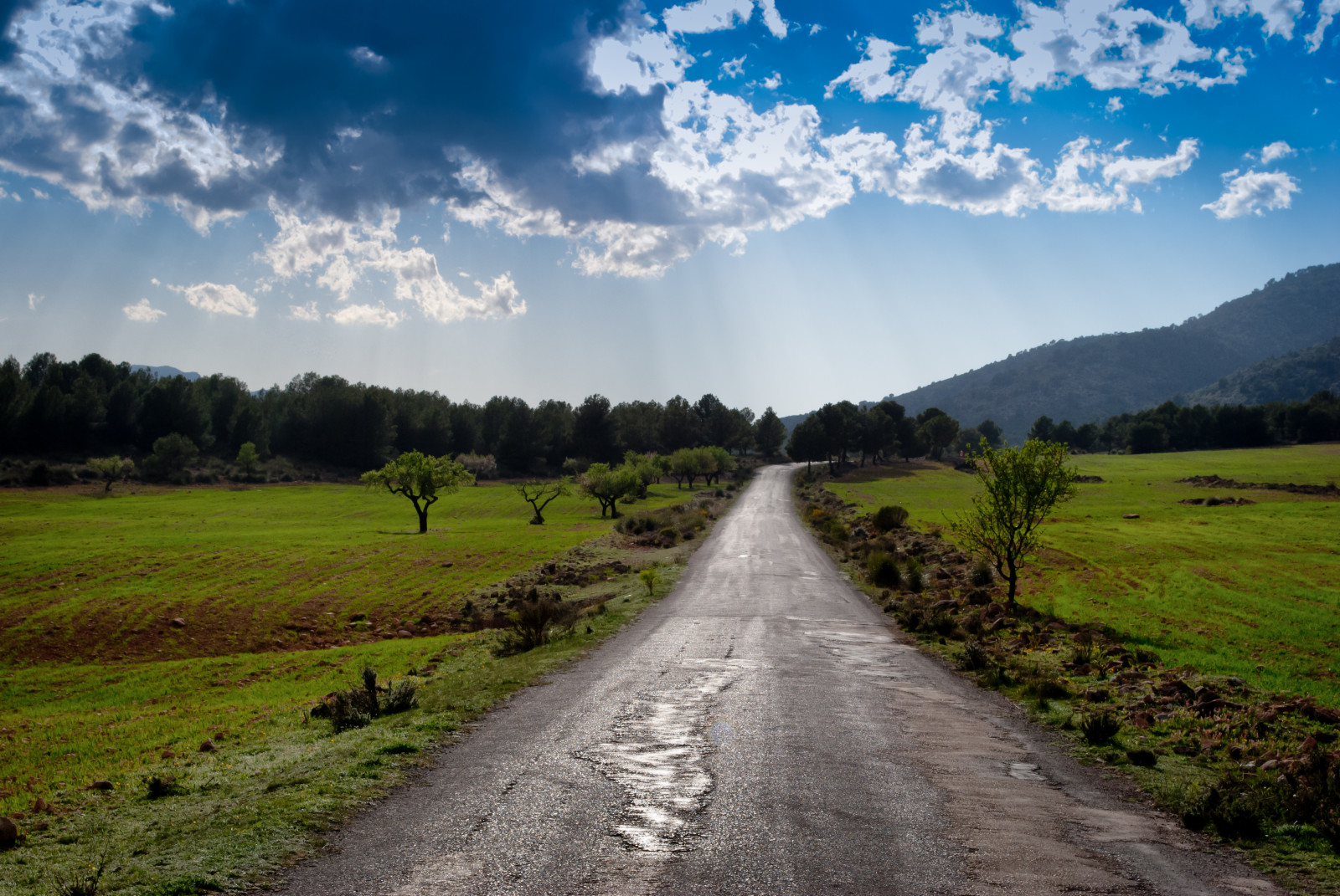 primavera, jaro, jaro, printemps, camino, silnice, cesta, Carretera, chemin, luz, světlo, licht, Lumiere, paisaje, paysage, Paisajes, krajina, upláchnout, mraky, nubles, mraky, cielo, nebe, verde, zelená, barva, barvitý, barva, barvy, Caravaca, caravacadelacruz, Murcia, espana, Španělsko, cestovat, výlety, Turismo, Cestovní ruch, touring, turnaj, viajes, viajar, viaje, venkovní, vnější, Nikon, nikond3000, D3000, miguelangelsgr, miguelonphotography