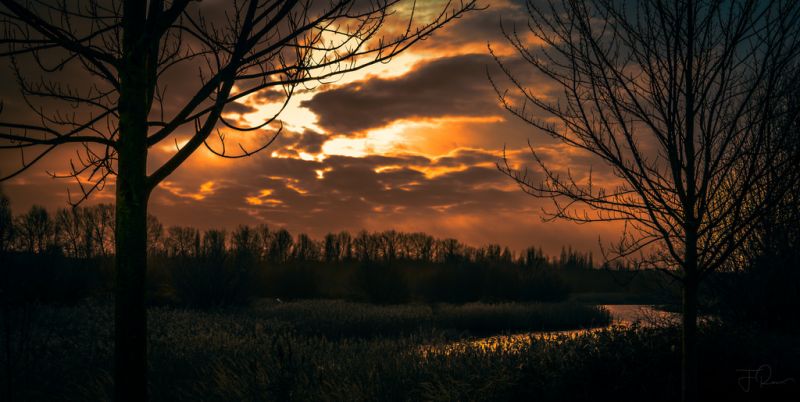 nebe, Příroda, atmosféra, západ slunce, svítání, větev nebe, Příroda, atmosféra, západ slunce, svítání, větev