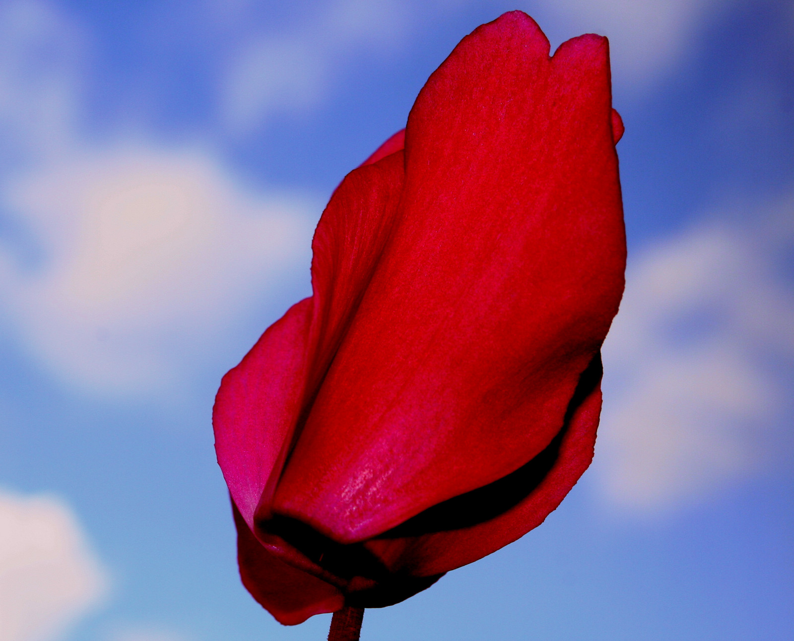 Wallpaper Red Sky Explorer Cyclaam Annemiel Wallpaper Red Sky Explorer Cyclaam Annemiel