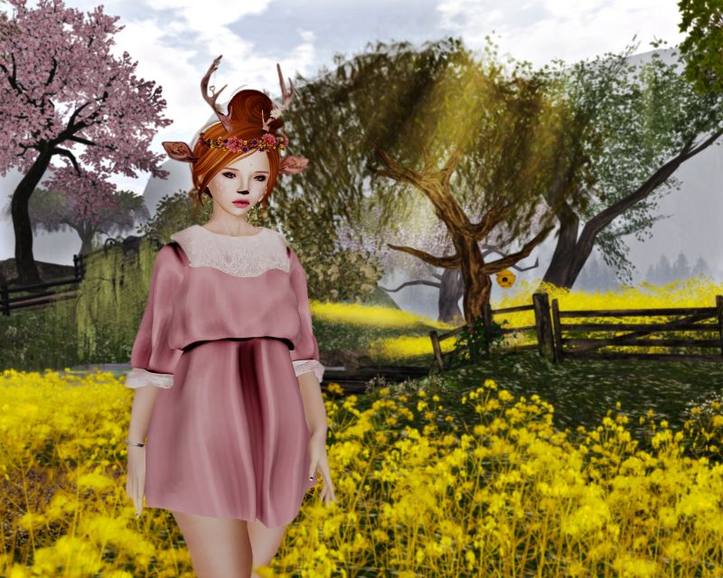 květ, krása, jaro, strom, žlutý, dáma