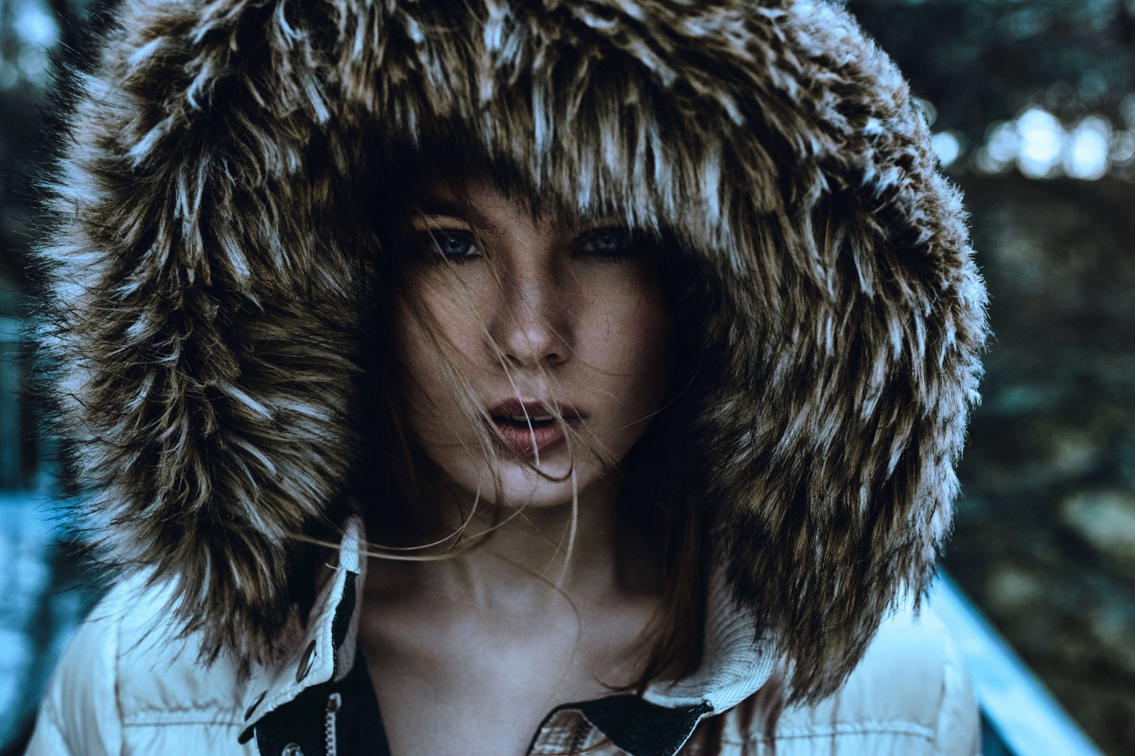 ansigt, Kvinder, model, blå øjne, Kigger på seeren, emhætter, pels, hoved, øje