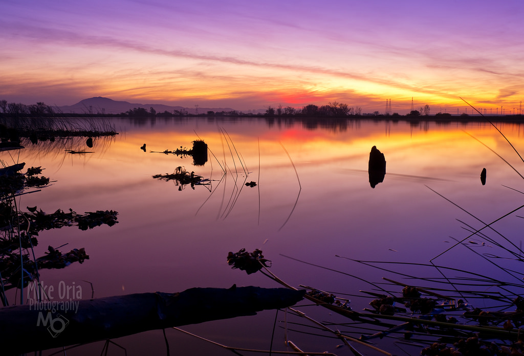 Kalifornie, město, západ slunce, odraz, mikrofon, silueta, Rio, noc, svítání, řeka, ostrov, fotografování, tři, Soumrak, mt, nachový, vítr, pentax, fialový, indigo, banka, velký, Delta, kopce, kůň, Brannan, Průhled, Montezuma, Diablo, Sacramento, pilíře, Brentwood, Slough, smc, Antioch, turbína, míle, Oakley, turbíny, a35, Oria, Suisun, 645d, Pentax645d, Mikeoria, Httpmikeoriazenfoliocom