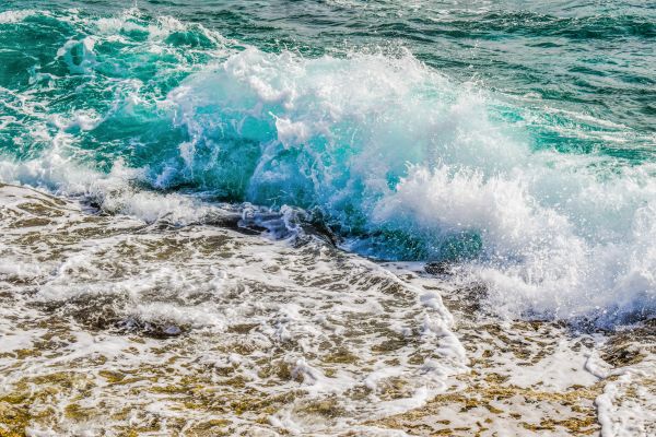 sea,water,coast,shore,beach,foam