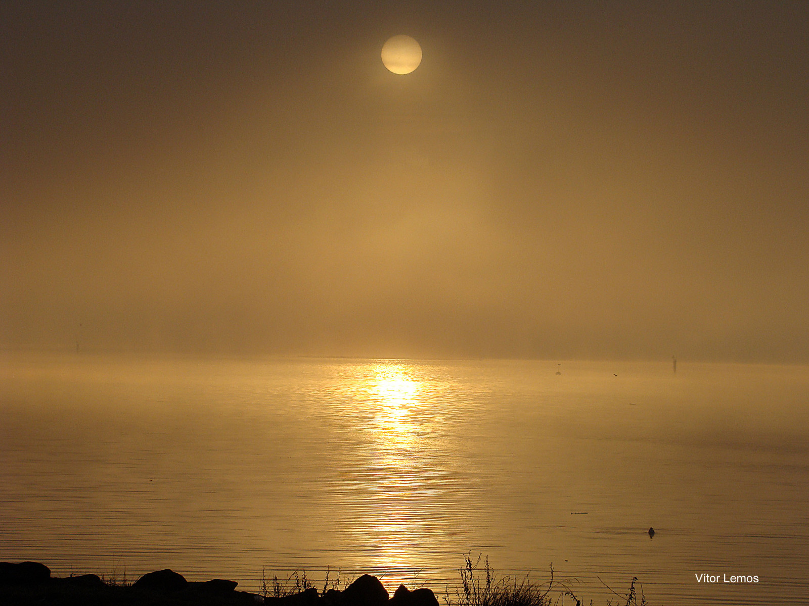 luce del sole, tramonto, mare, acqua, riflessione, Alba, sera, mattina, fiume, Sole, orizzonte, Sony, atmosfera, crepuscolo, lente, Portogallo, Sol, niebla, nebbia, alba, oceano, Rio, agua, zeiss, CarlZeiss, mattutino, Brouillard, Mondego, 27, Mattina, fenomeno atmosferico, ultimi bagliori, oggetto astronomico, variotessar, figueiradafoz, manha, manana
