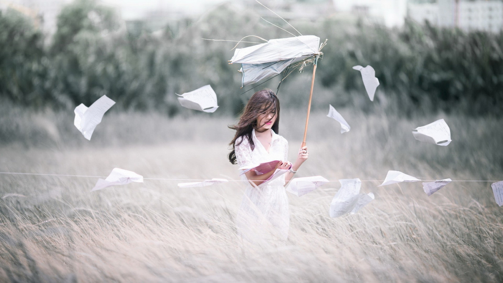 sollys, hvid, Kvinder udendørs, model, vand, natur, udendørs, asiatisk, sne, vinter, Mark, fotografering, paraply, kjole, morgen, emotion, forår, romantik, blomst, vejr, pige, skønhed, sæson, brud, fotografi