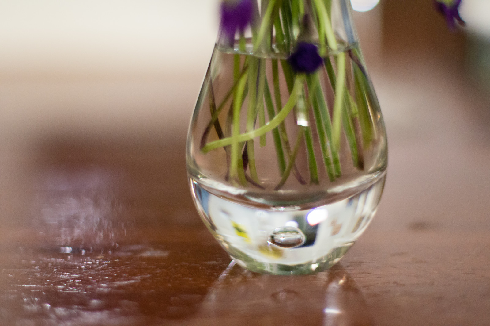 voda, stůl, sklenka, bokeh, váza, M42, skleněná láhev, Sklenice, Domácnost, smctakumar50mm14, stonky, Barware