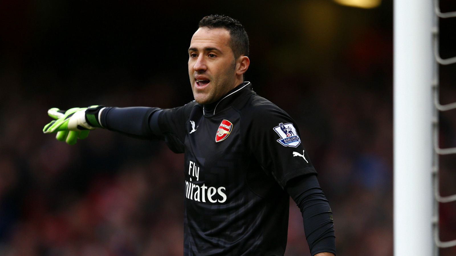målmand, fodbold, Person, Arsenal, spiller, officiel, fodboldspiller, erhverv, fodboldspiller, fodboldspiller, david ospina