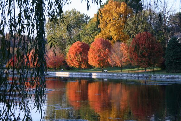 lake,water